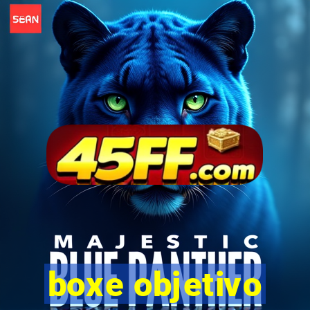 boxe objetivo